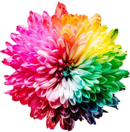 Iris logo: eine Regenbogen-farbige Blume.